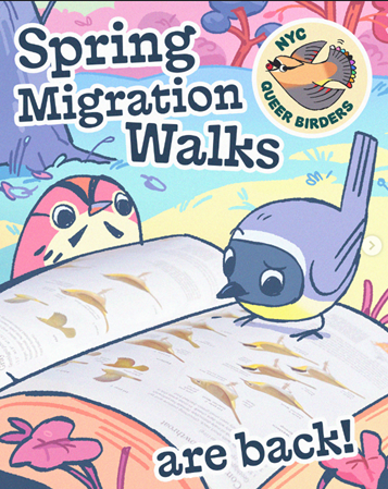 Queer Birders NYC – Spring Migration Walks